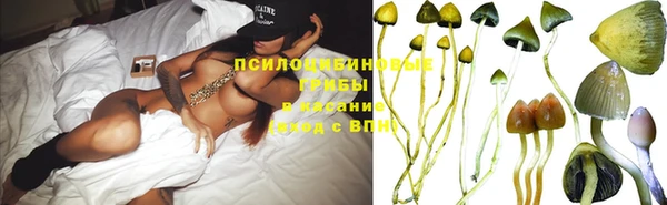 винт Алзамай