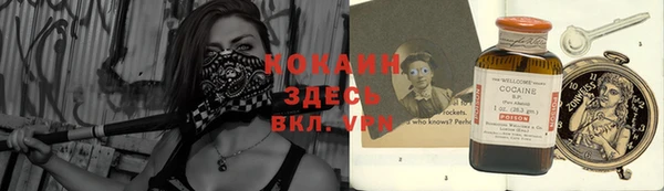 шишки Алексин