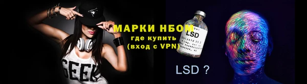 шишки Алексин