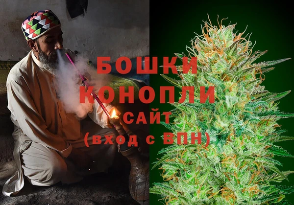винт Алзамай