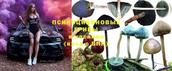 шишки Алексин