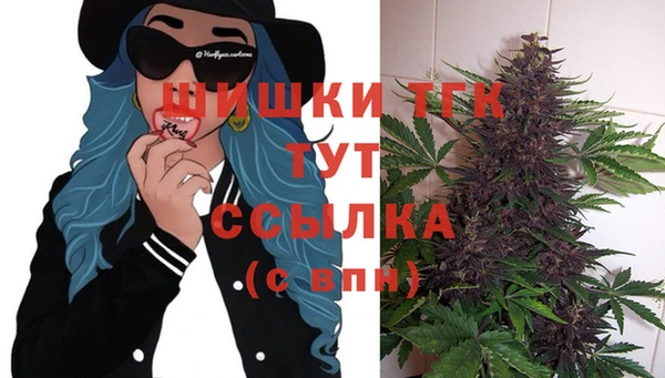 шишки Алексин
