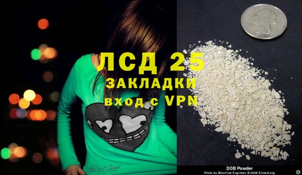 винт Алзамай
