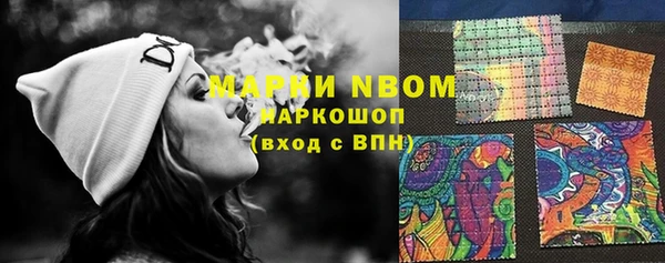 винт Алзамай