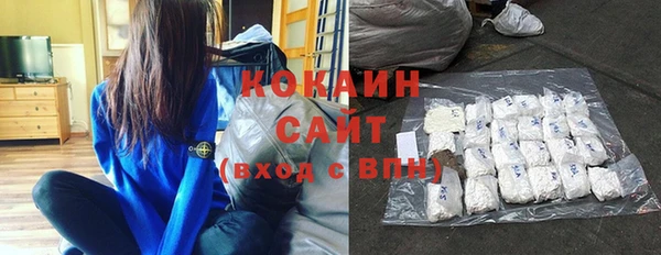 винт Алзамай